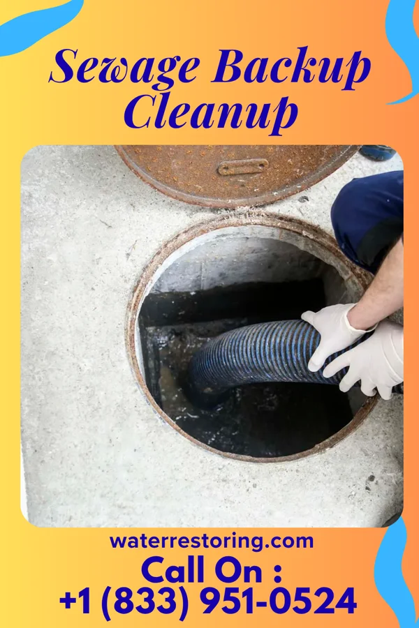 Sewage Backup Cleanup in Moraine, OH