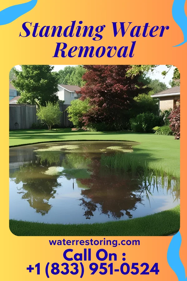 Standing Water Removal in Moraine, OH